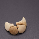 Nuppivedin Olle - Käsittelemätön Saarni