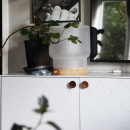 Nuppivedin Olympia - Tammi