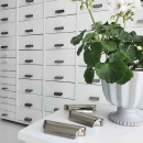 Vedin Timjan - Nikkelöity