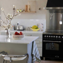 Vedin Timjan - Nikkelöity