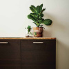 Vedin Rattan - 160mm - Harjattu Messinki