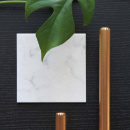 T-Nuppi Rille - Crestttu Messinki