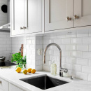 Nuppivedin 401 - Nikkelöity