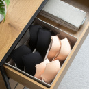 Säilytyslaatikko Jossa 6 Lokeroa - Beige