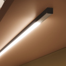 Häikäisysuoja Nexus Night & Day - 2000mm - Upotettava