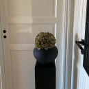 Liukuoven Vedin Hollow  - Musta