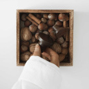 Nuppivedin Circum - Pähkinäpuu